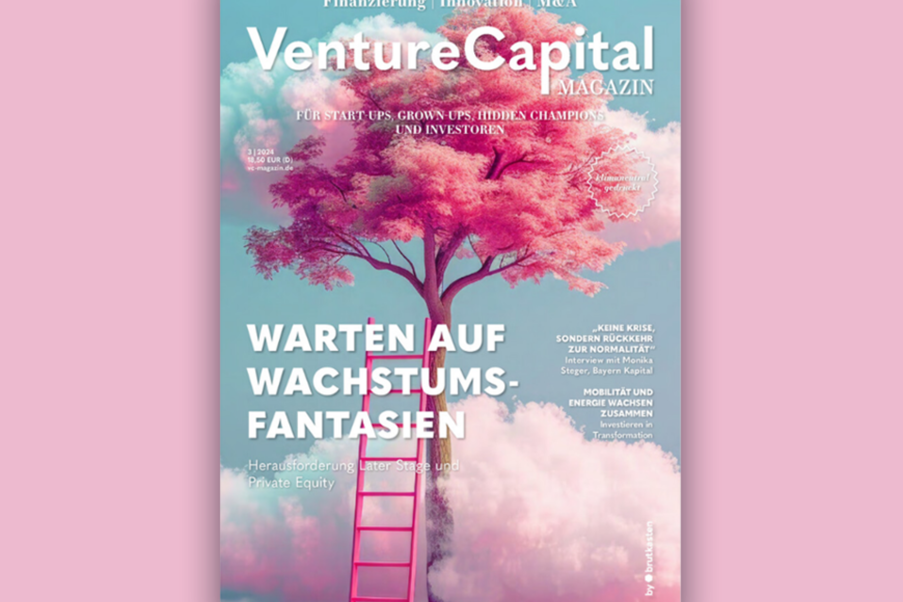Magazincover des „VentureCapital Magazin“, Ausgabe 3/2024. Vor einem pastellfarbenen Himmel mit Wolken steht ein pink blühender Baum, zu dessen Krone eine pinke Leiter hinaufführt. Titelthema: „Warten auf Wachstumsfantasien – Herausforderungen Later Stage und Private Equity“.